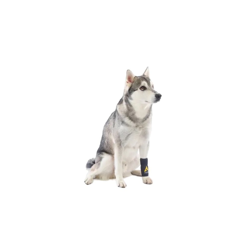 Agon® Dog Front Leg Brace Paw Compression Wraps [DS002Y] - Picture 5 of 11